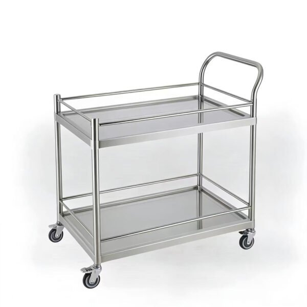 Stainless Steel 2 Layer Trolley