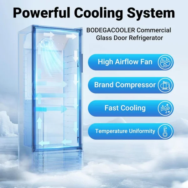 Commercial Upright Glass Door Freezer | Single Door Display Refrigerator